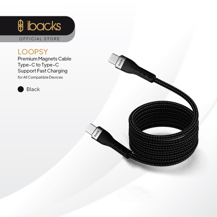 Ibacks LOOPSY Magnets Cable PD100W TypeC to TypeC
